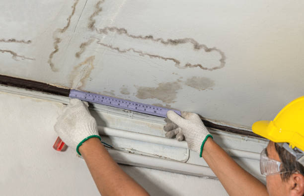 Reliable Burst Pipe Cleanup contractor in Ashland, AL by Water Damage Irwin